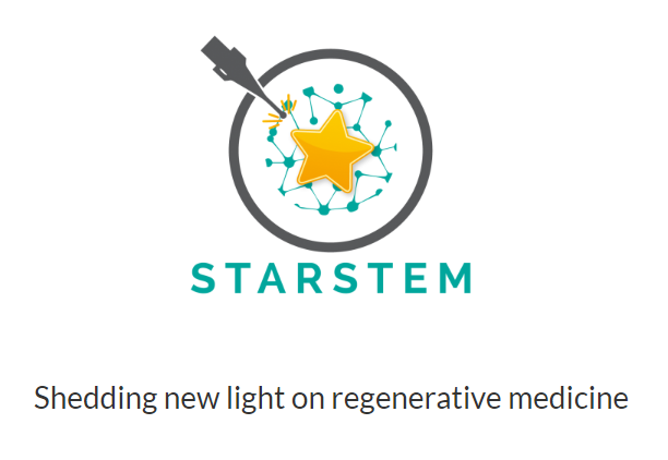 Starstem Logo
