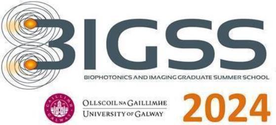 Logo of BIGSS Conference 2024